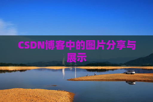 CSDN博客中的图片分享与展示